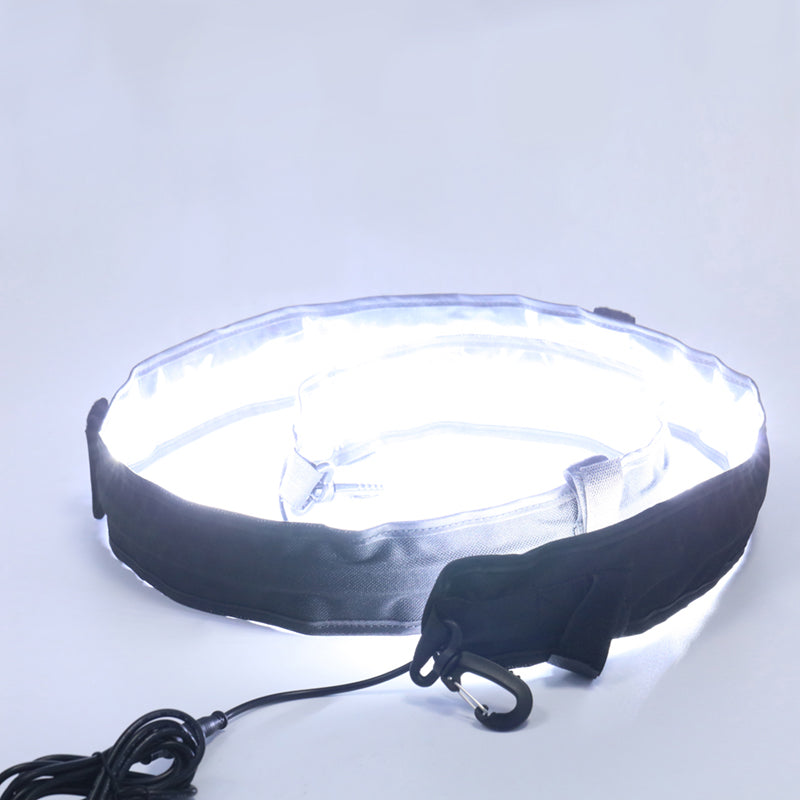 Daktentlamp LED