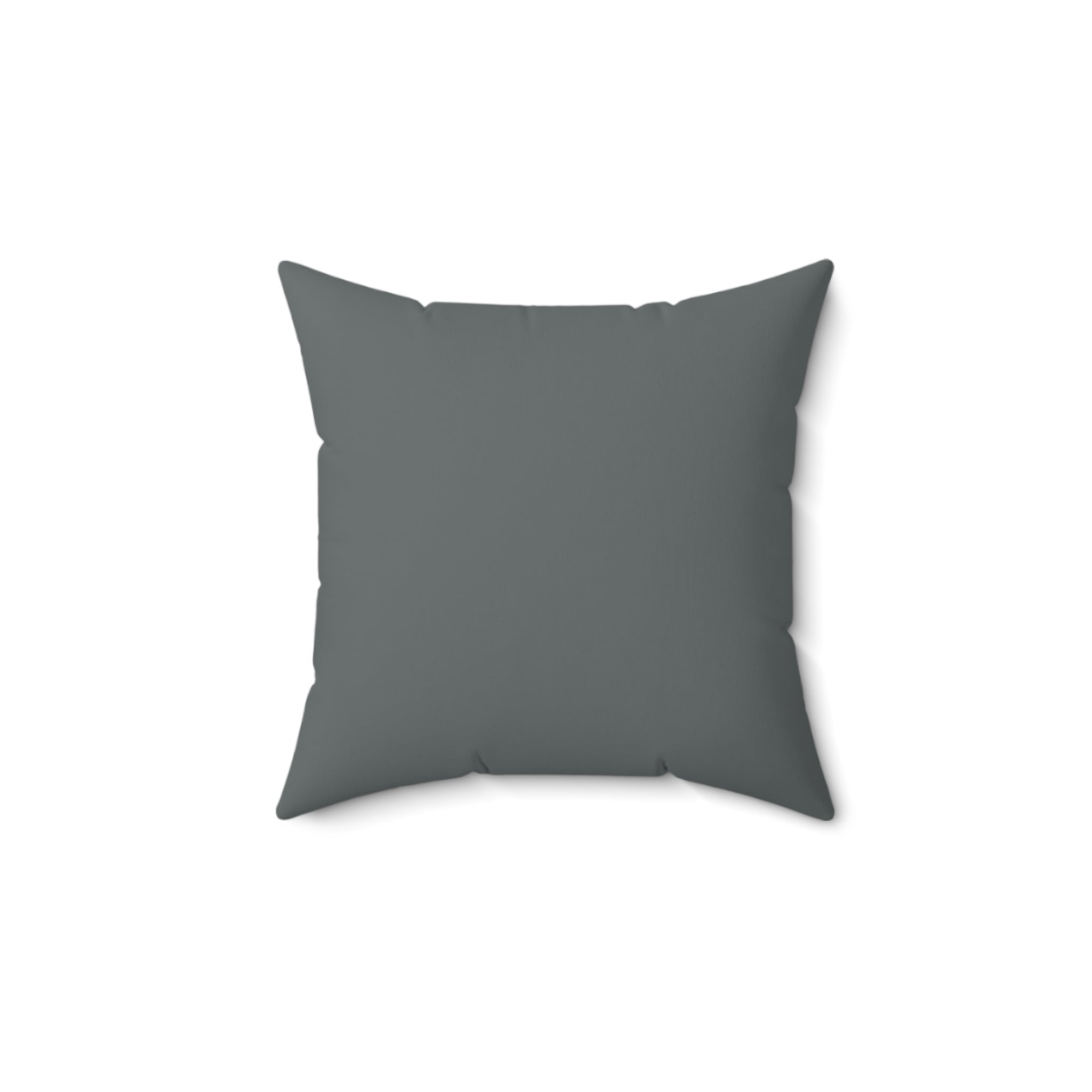 OutdoorU pillow